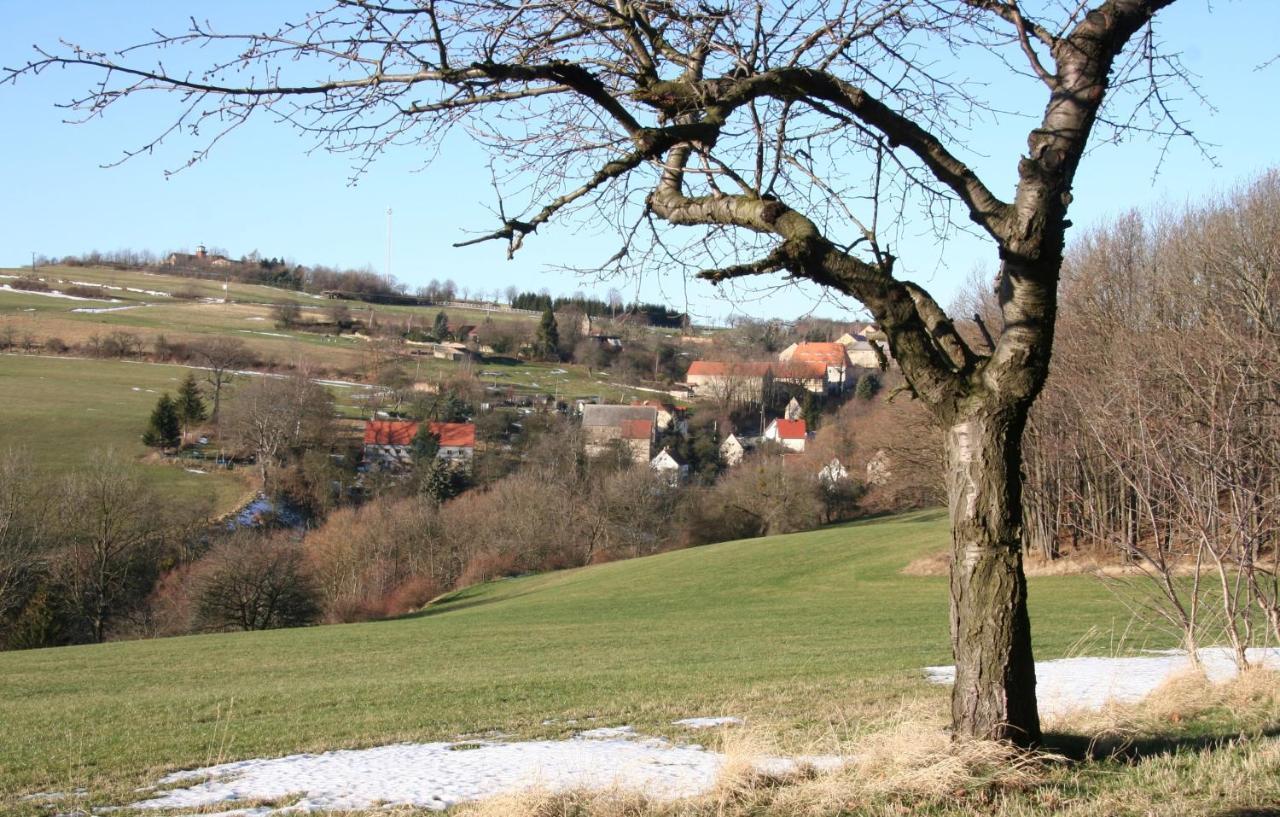 Fachwerkhaus Maxen Holiday home